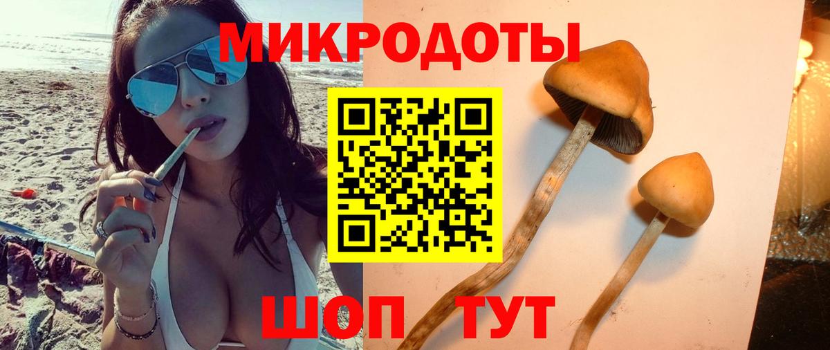 Галлюциногенные грибы Magic Shrooms  Галлюциногенные грибы Psilocybe  дарнет шоп  Вход с VPN  Троицк 
